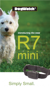 R7Mini