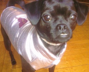 Lucy