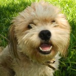 Rusty smiling for the camera