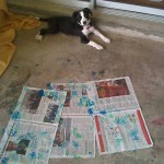 Zoey resting after creating her latest masterpiece