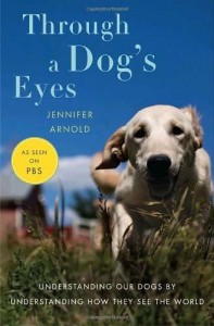 dogseyes