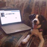 Zoey catching up with her Facebook friends