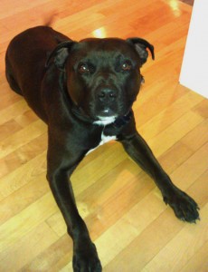 Diesel