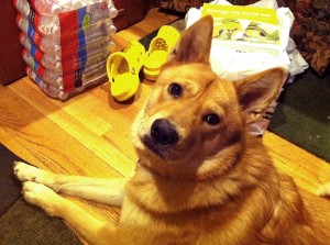 Roxie