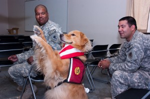 Therapy Dog entertaining soldiers back from Afghanistan