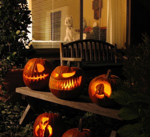 Westie watches the Halloween festivities. Photo by Randy Robertson via Flickr.