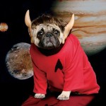 I find this costume highly illogical.
