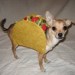 I don't care if I look good enough to eat. Hands off!