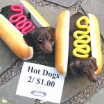 No, no, we are NOT that kind of hot dog! Stop licking your lips like that!