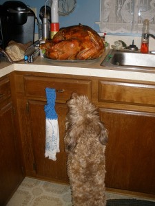 Frank is thinking big when it comes to his dinner. Photo by Tony Alter via Flickr. Frank is thinking big when it comes to his dinner. Photo by Tony Alter via Flickr.
