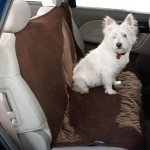 Car Seat Protector Car Seat Protector