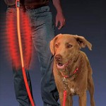 LED Lighted Dog Leash LED Lighted Dog Leash