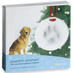 Pawprints Ornament Kit Pawprints Ornament Kit