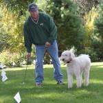 Lucy the Labradoodle with DogWatch Trainer Leddy Smith. Photo (c) Ron Pownall/DogWatch.