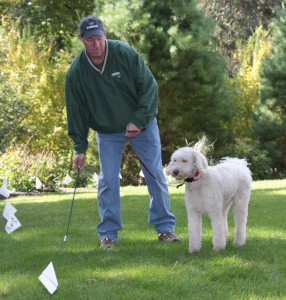 Lucy the Labradoodle with DogWatch Trainer Leddy Smith. Photo (c) Ron Pownall/DogWatch.