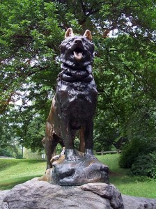 The statue of Balto erected in New York' City's Central Park. © 2012 Uris.